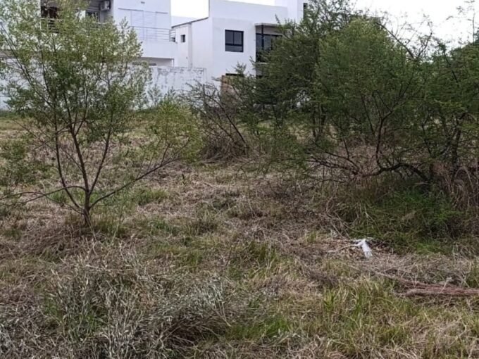 LOTE en FEDERACIÓN (Entre Ríos).