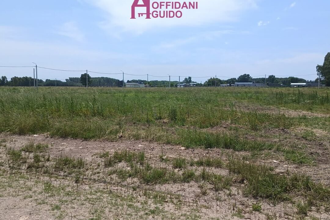 ¡LOTES EN VENTA! 🔥📍Av. Pueyrredon & Calle 173 Por consultas podes comunicarte al 2284355553 📱 (6)